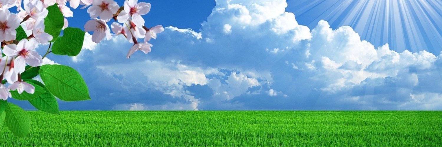 Tracyann 👱🏻‍♀️ 🌸 🦄 🦋 🛍️ 💗 🍸🏖️ mum, nan banner