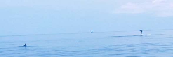 eunicelai96's profile banner image