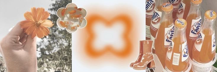 Celsy. banner