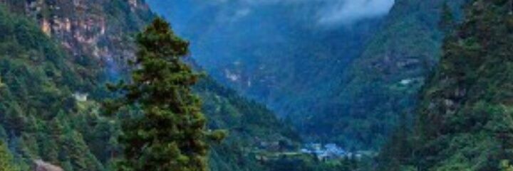 m1fs1's profile banner image