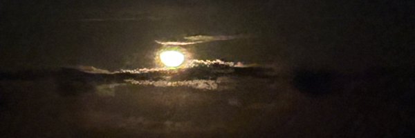 DefeatedTrill Profile Banner