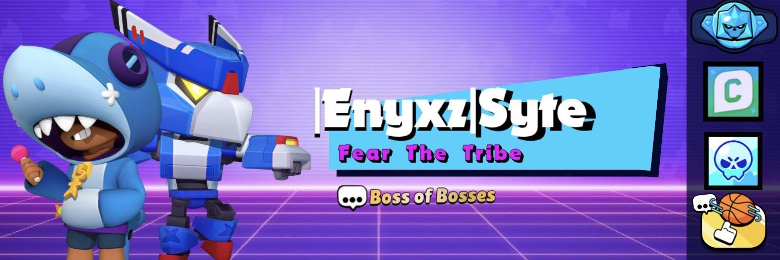 Syte banner