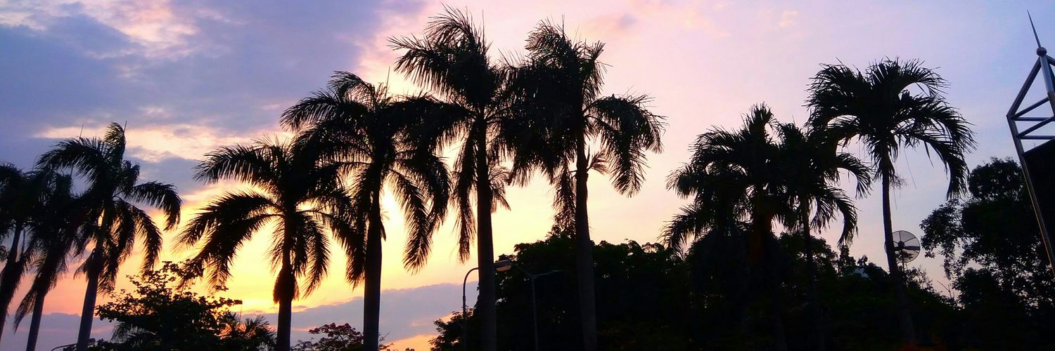 Indri_wk's profile banner image