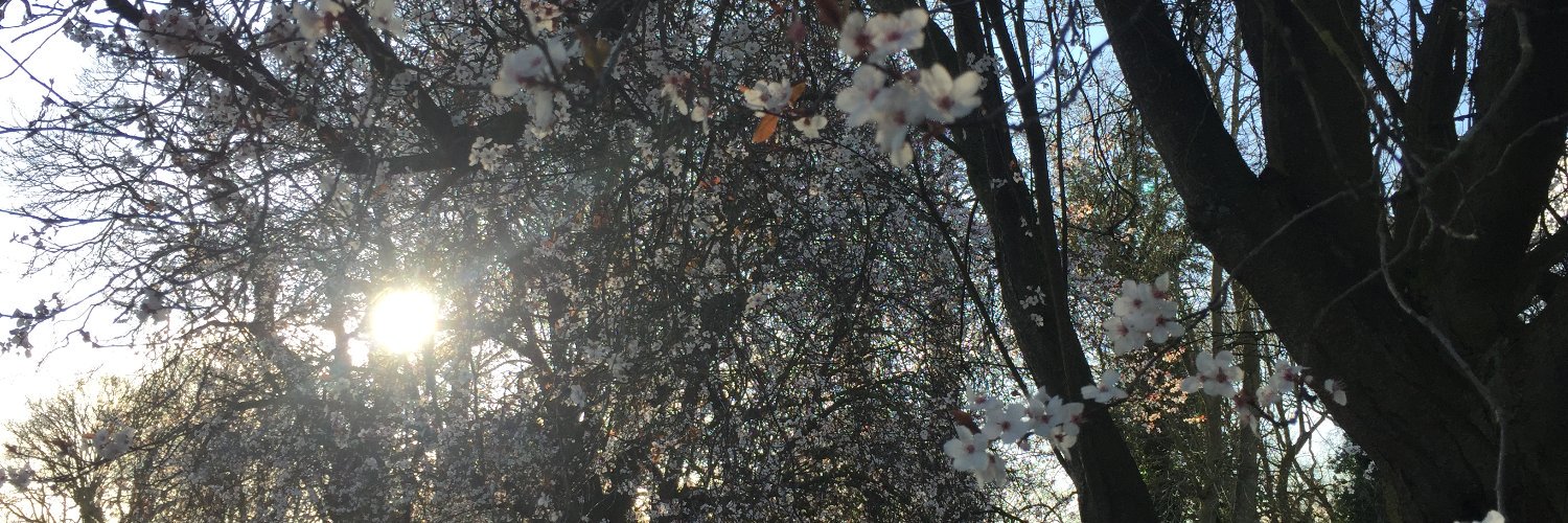 Julia Wainwright banner