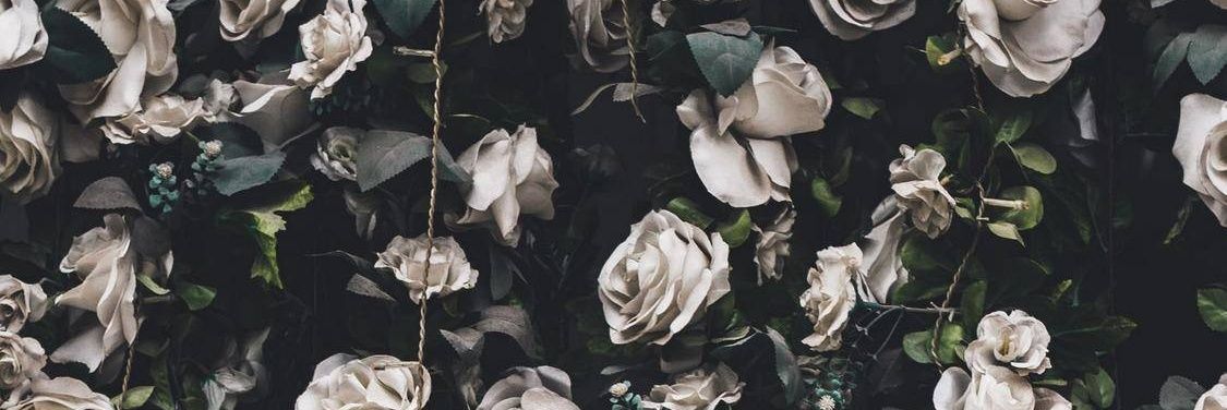 Jian992's profile banner image