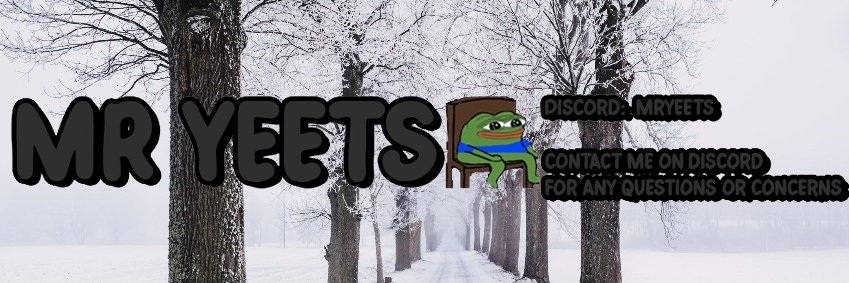 Mr Yeets banner