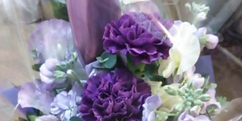 ci_mame's profile banner image