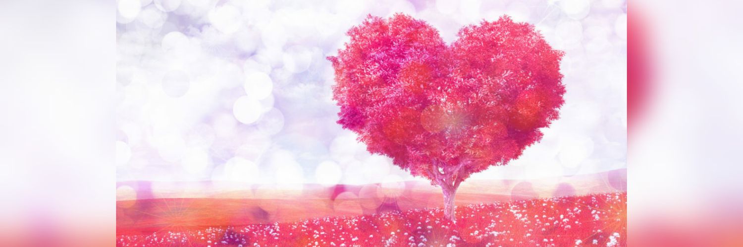 k21300210's profile banner image