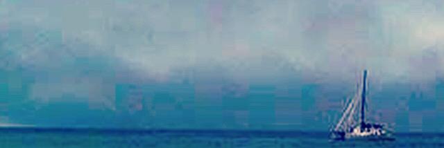 slomichelle's profile banner image