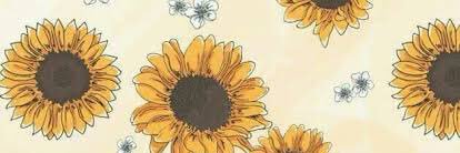 NiaciSarah's profile banner image