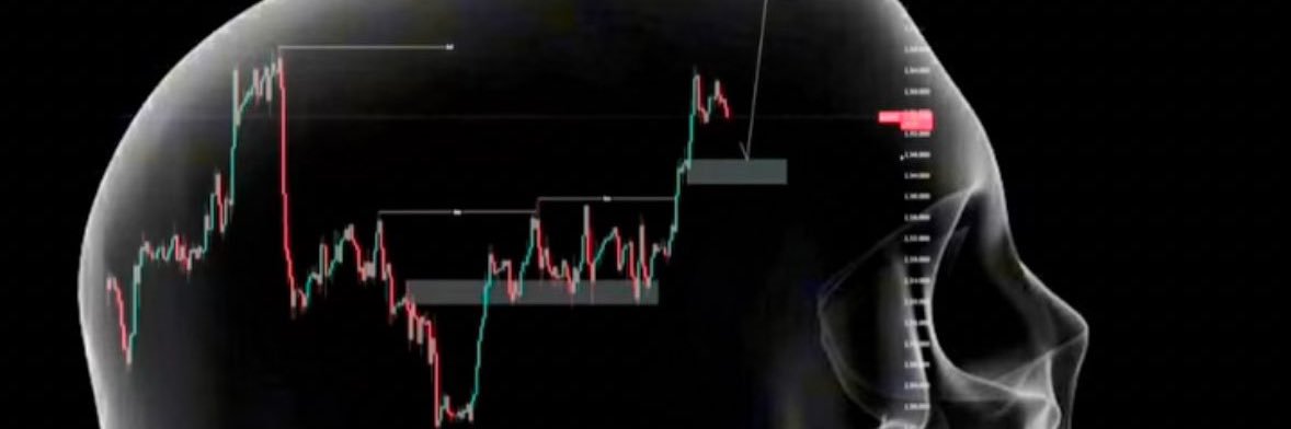 Acid Cryptos⚡️ banner