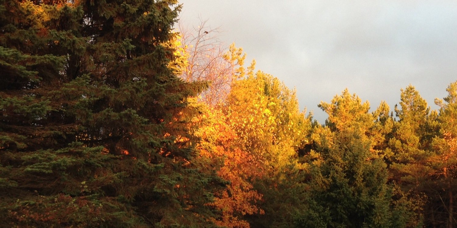 ALSMenzRN's profile banner image
