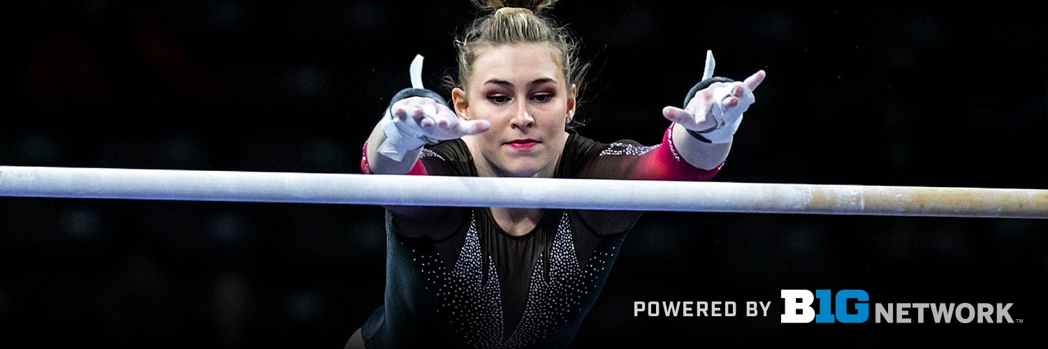 Big Ten Gymnastics's banner