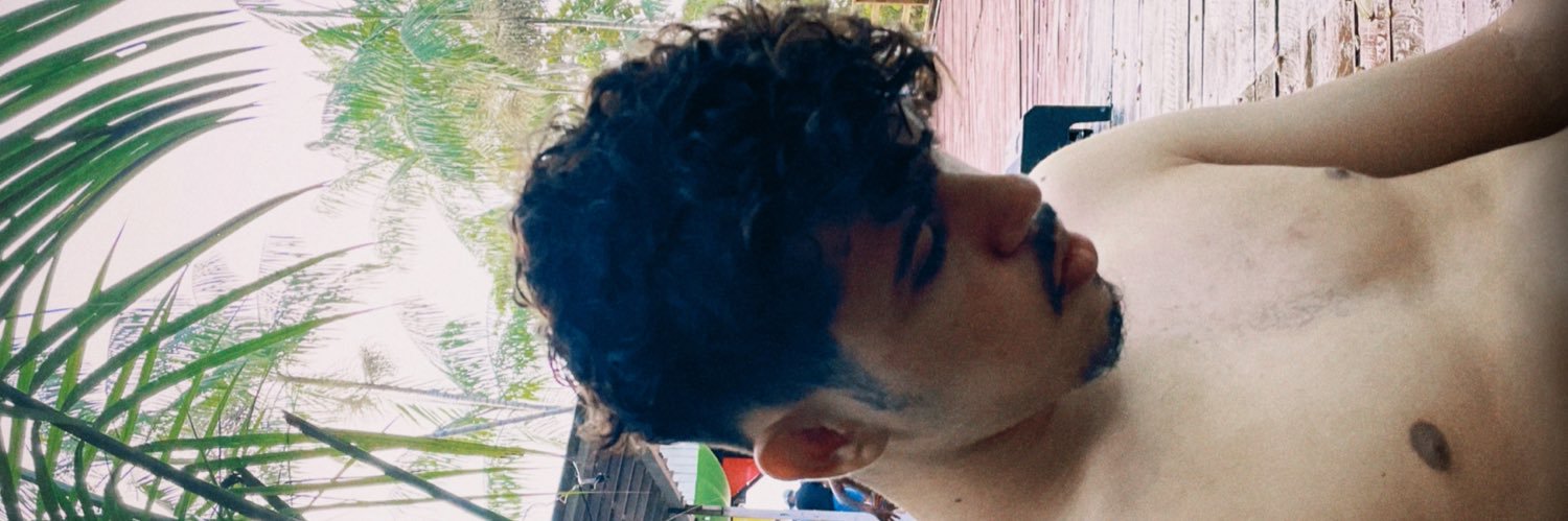 lupromano's profile banner image