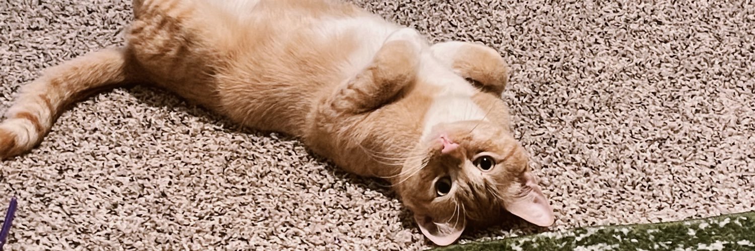 Victoria D Filloon banner