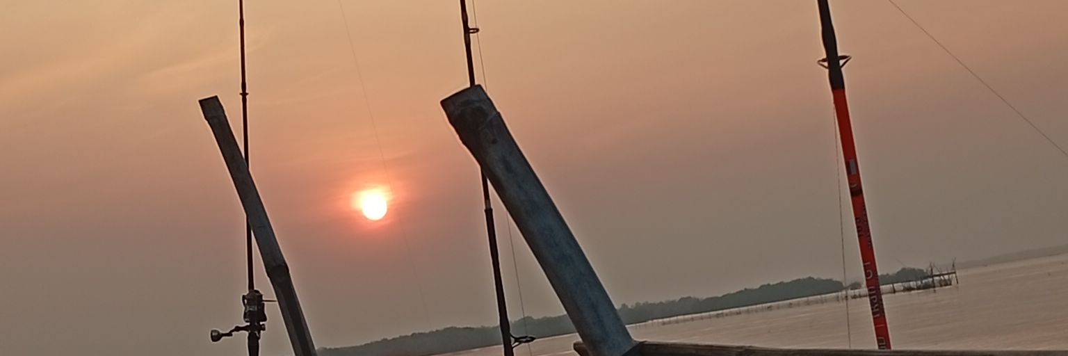 xm | Petrucci banner