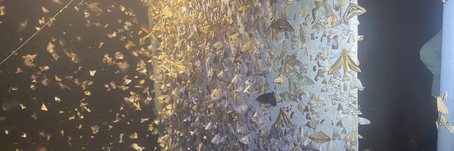 Powell Insect Evolution Lab banner