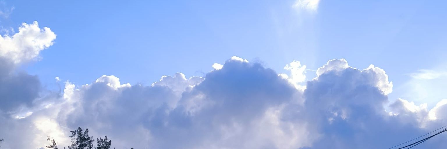 snchzzz._ banner