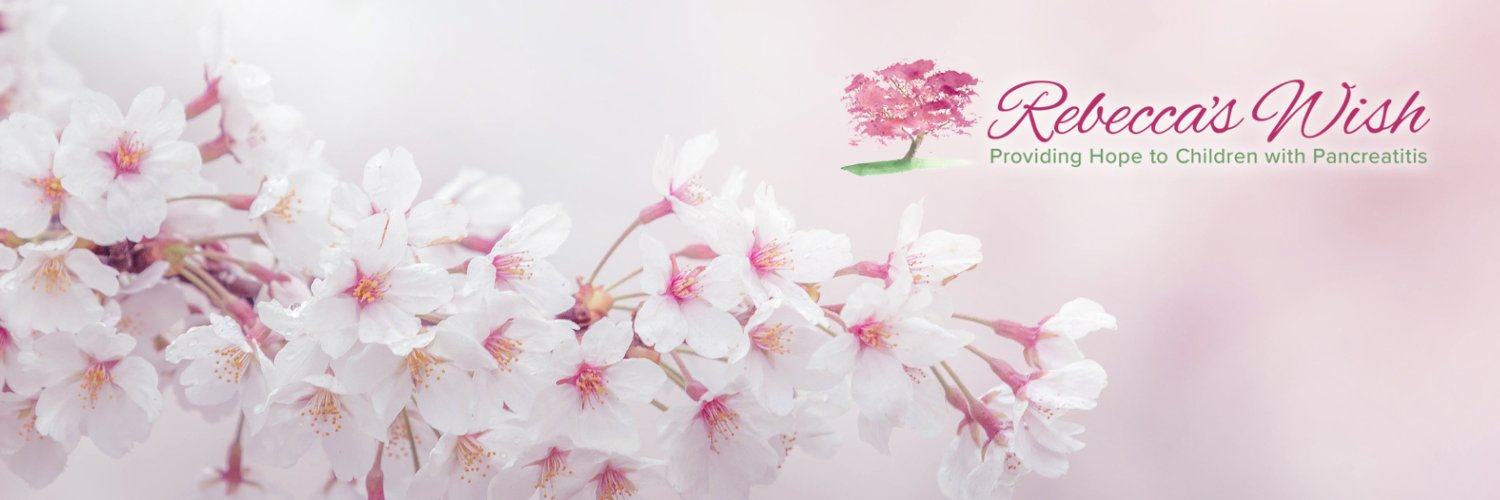 Rebecca's Wish banner