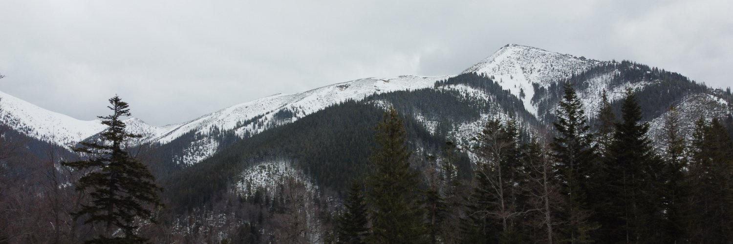 True_Believer banner