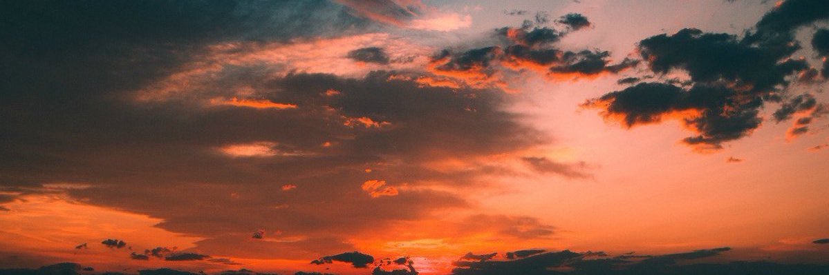 luanarolon's profile banner image