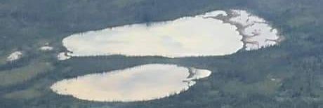 Angelic Nanobot. banner