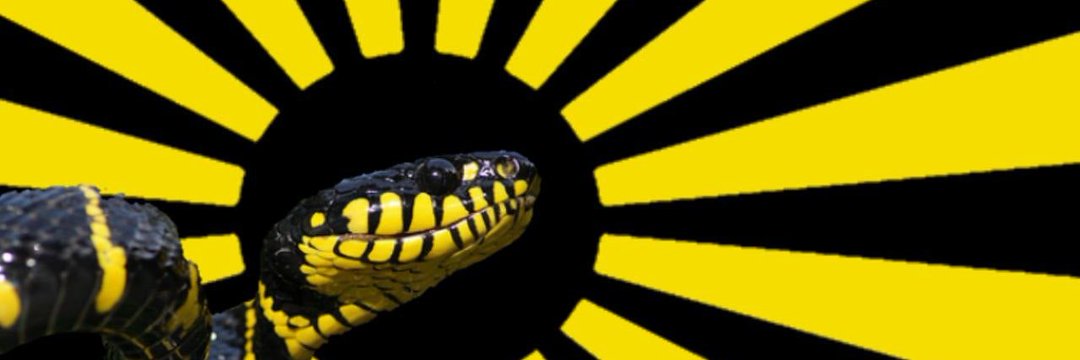 Liberty Rising | IQ 313 banner
