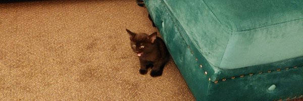 jordonaut Profile Banner