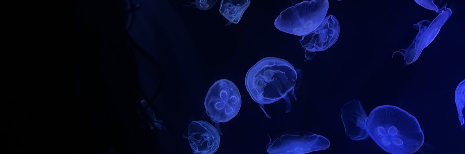 Perc banner