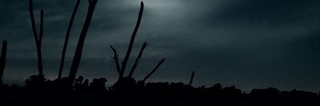 Alex ( ⁠ಠ⁠_⁠ಠ⁠)⁠☞{you are PUTO) banner
