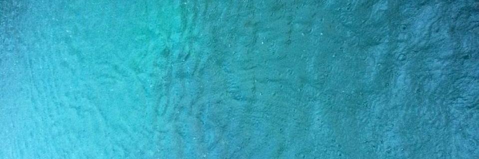 eldbristow's profile banner image