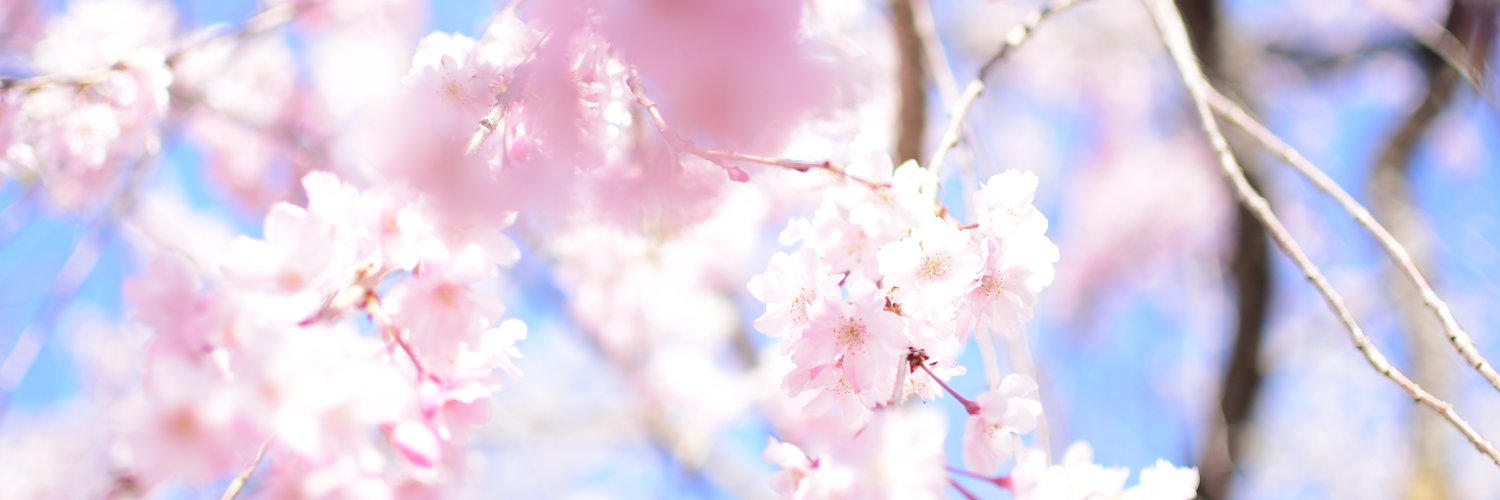 板倉大地 / Itakura Daichi（朝日新聞）'s banner