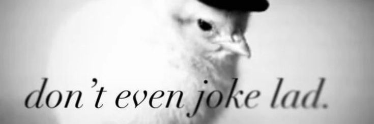 peitos campineiros banner