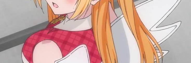 nlwupnorth's profile banner image