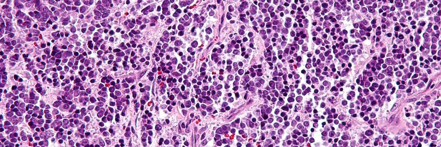 The Joint Pathology Center (JPC)'s banner