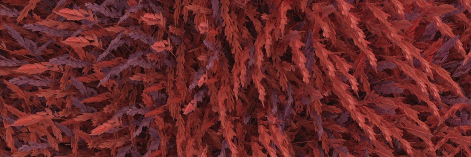 aude_sw's profile banner image