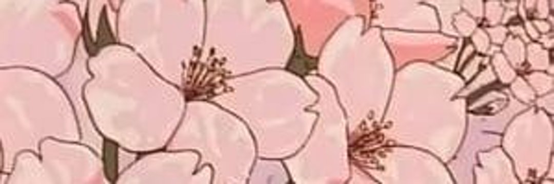 Lil_Marta's profile banner image