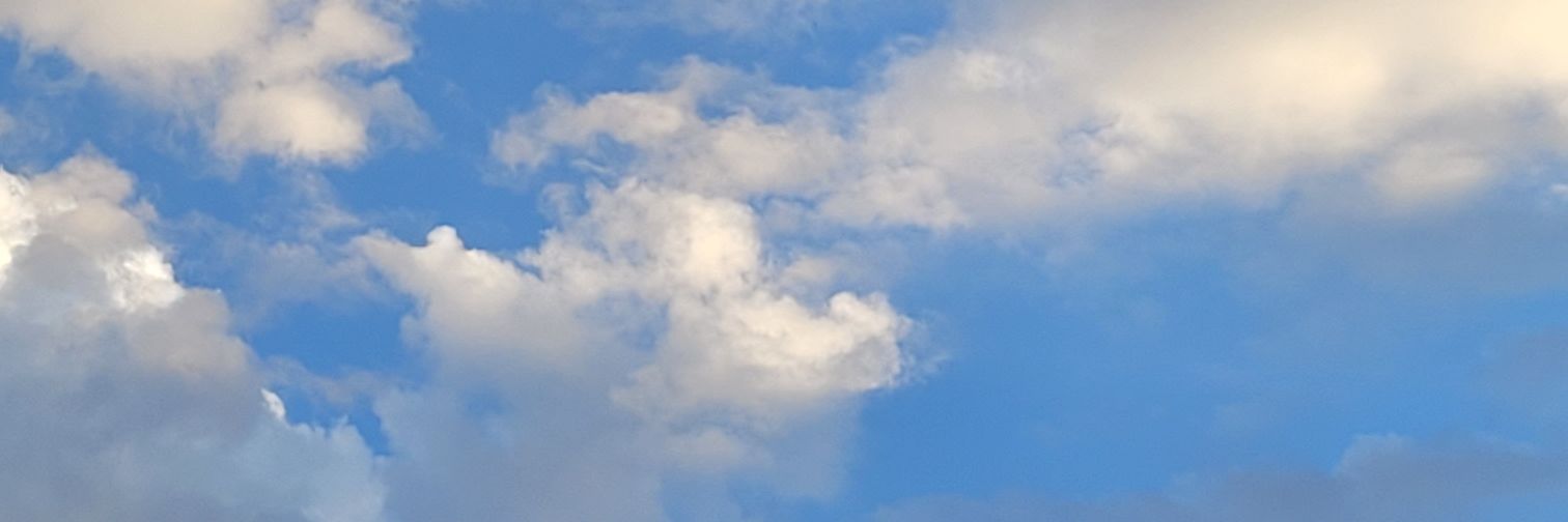 camilaremis's profile banner image