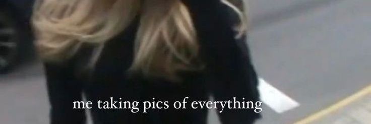 shaney banner