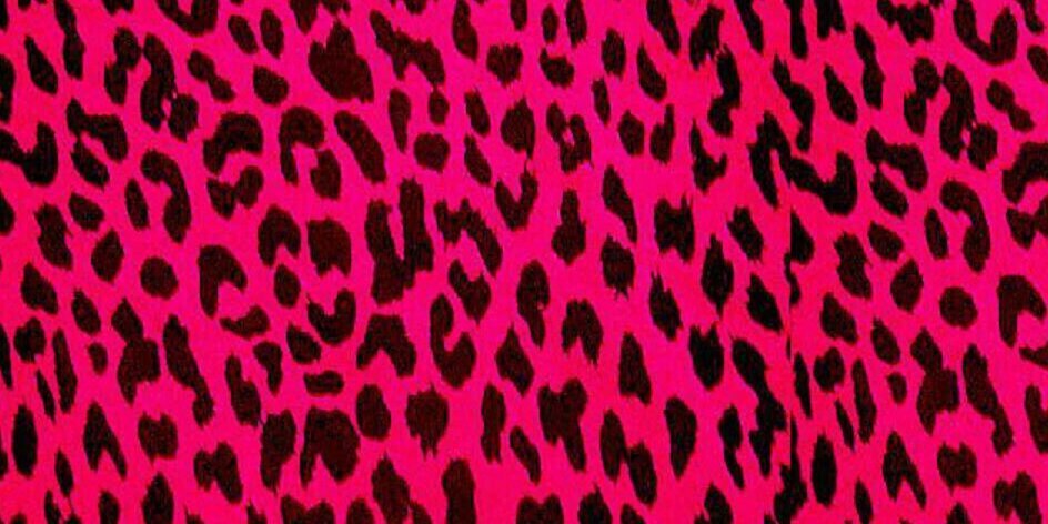 CassyTCupples's profile banner image