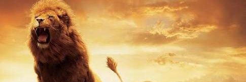 laksierra's profile banner image