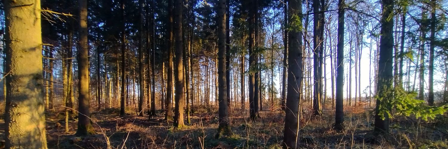 Pferdle (hat hinsichtlich Mitmenschen kapituliert) banner