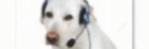 iDjsly Profile Banner