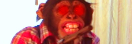 thegergboy's profile banner image