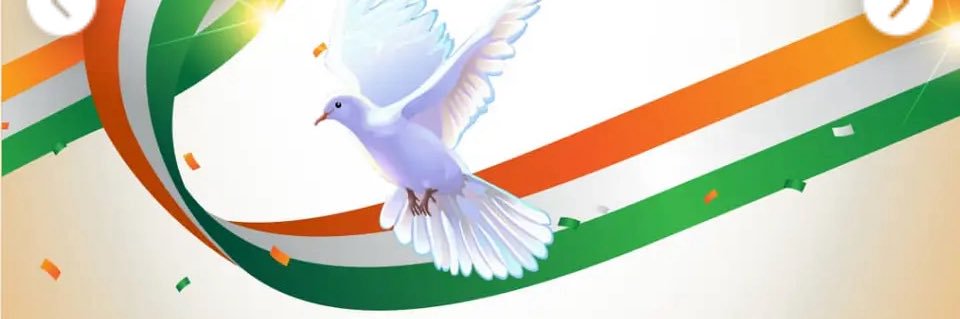 Fils 🇨🇮 banner