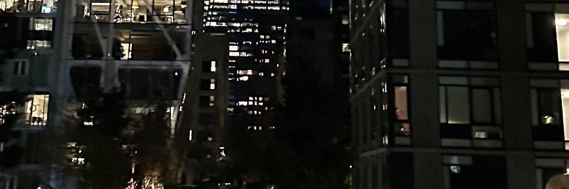 alexis pena banner