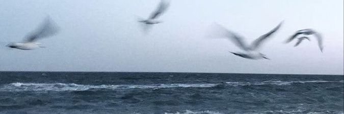 𝑺𝒕𝒂𝒓𝒔𝒄𝒓𝒆𝒂𝒎_𝑬𝒔 banner