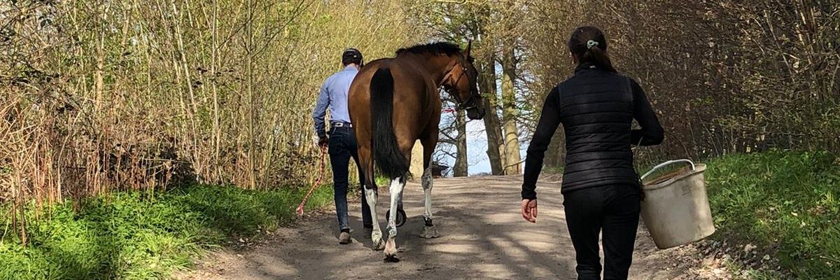 BenCooke__'s profile banner image