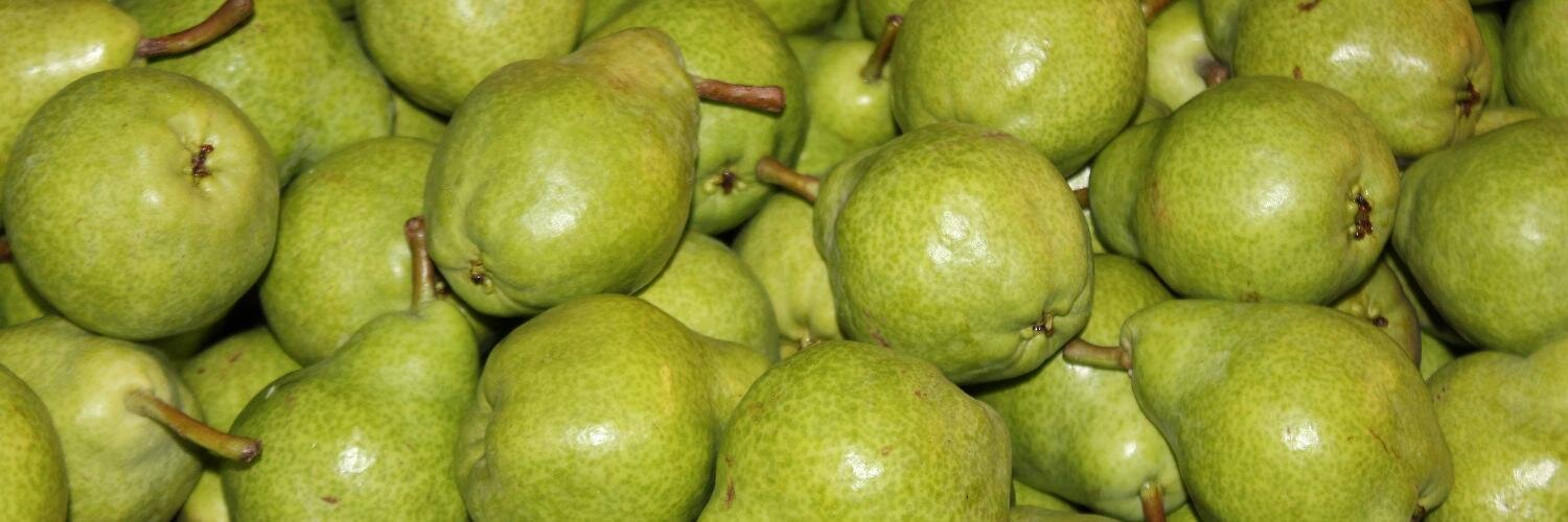 Bridges Produce banner