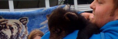 iambear1's profile banner image